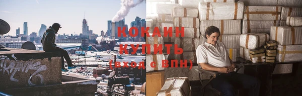 молекула духа Горно-Алтайск