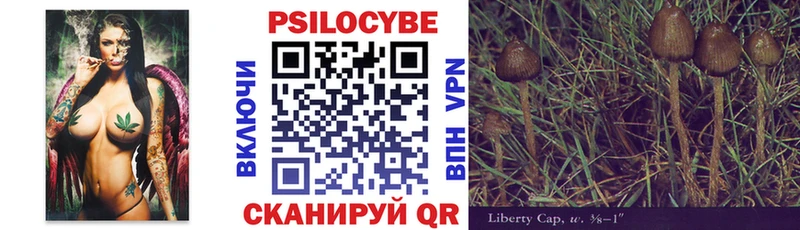 Купить  Камешково  Галлюциногенные грибы прущие грибы 